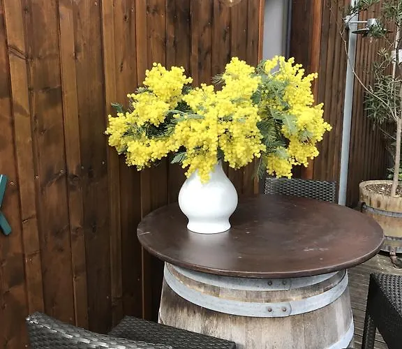 Les Du Centre Lejlighed *